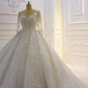 3D Lace Appliques Long Sleeve Ball Gown Tulle Wedding Dress